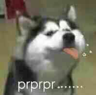 幼稚微信恶搞群聊杂图表情包