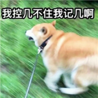 搞笑逗比的微信个性情侣头像合集下载