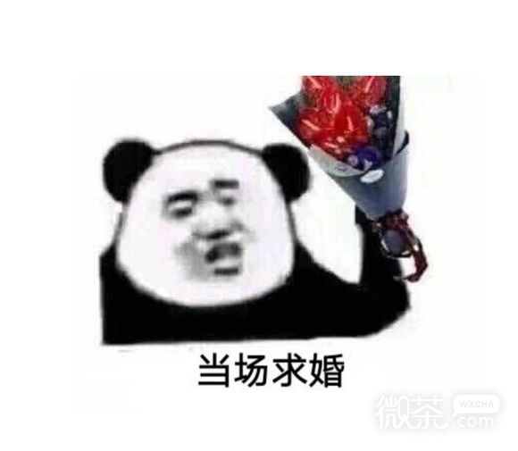 微信近期斗图恶搞表情包2019/7/19（二）