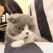 跑路微信恶搞表情包