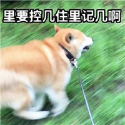 搞笑逗比的微信个性情侣头像合集下载