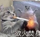 今日微信恶搞沙雕表情包第二弹下载