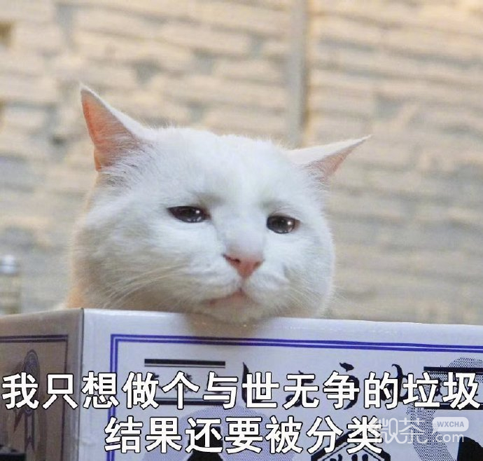 今日微信恶搞沙雕表情包第二弹下载