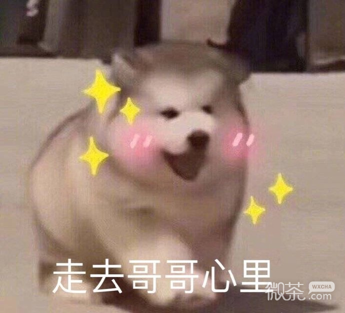 今日微信恶搞沙雕表情包第二弹下载