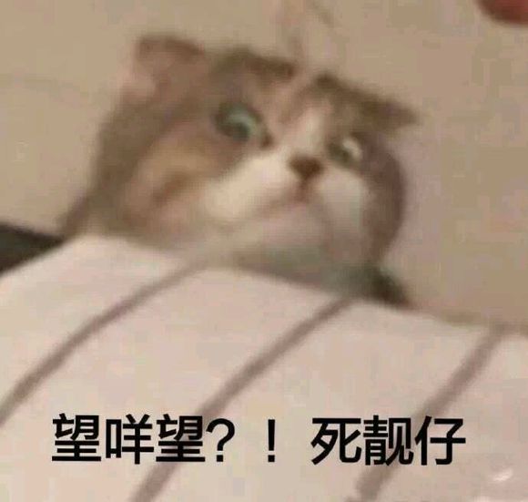 微信近期斗图恶搞表情包2019/7/22(二)