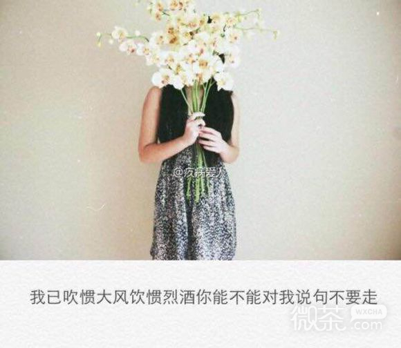 分手后专用的微信带字朋友圈配图下载