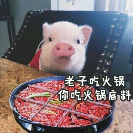 微信近期斗图恶搞表情包2019/7/22（二）