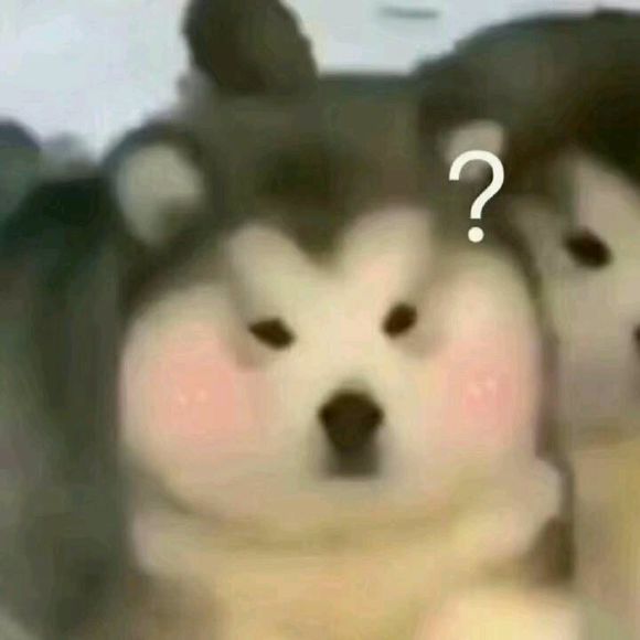 微信近期斗图恶搞表情包2019/7/22(二)