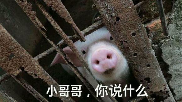 微信近期斗图恶搞表情包2019/7/22(二)