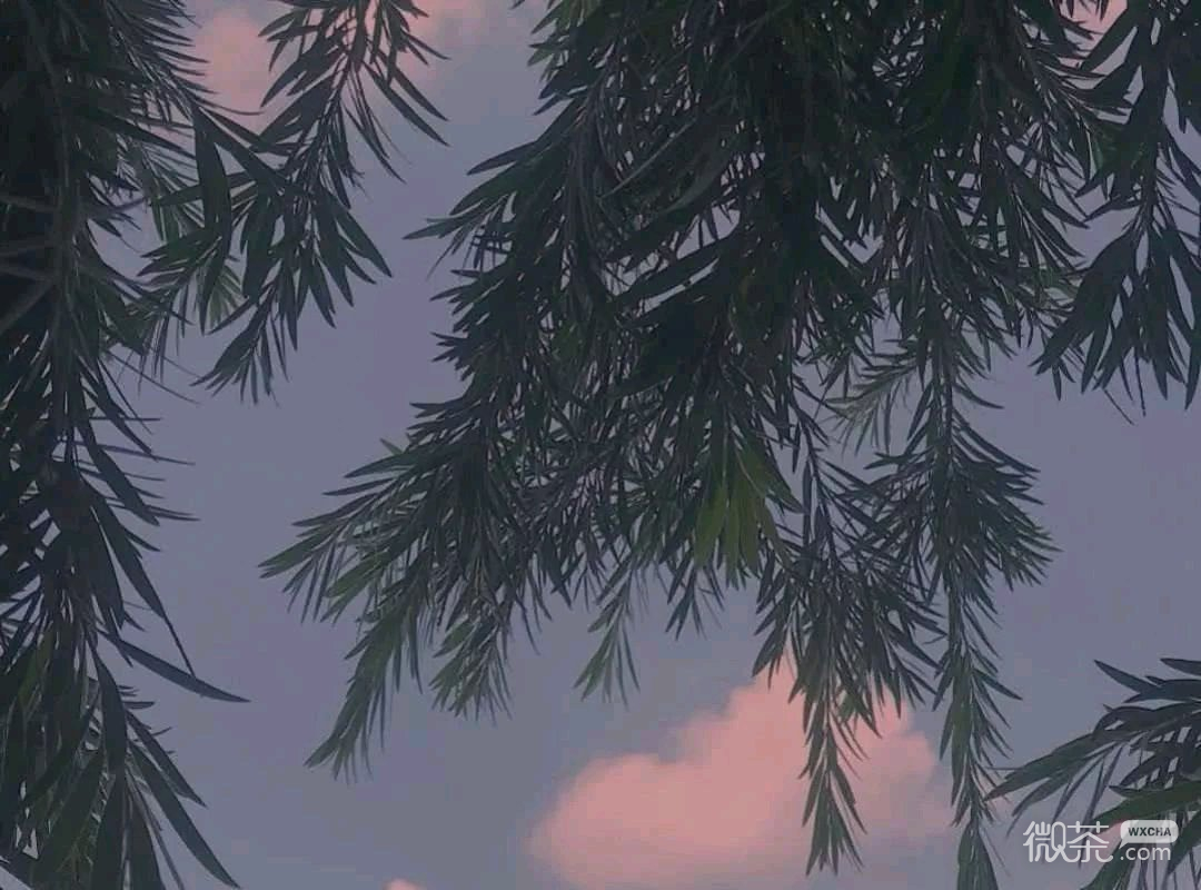微信简洁好看朋友圈配图
