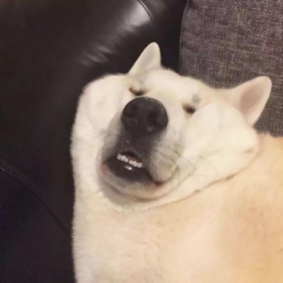 微信最新爆笑沙雕情侣头像套图下载