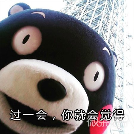 晚上感到孤单怎么办微信熊本熊表情包下载