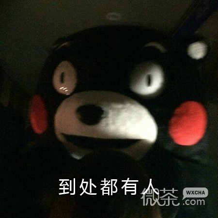 晚上感到孤单怎么办微信熊本熊表情包下载