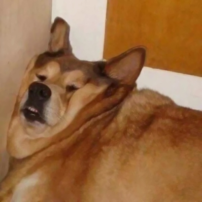 微信最新爆笑沙雕情侣头像套图下载