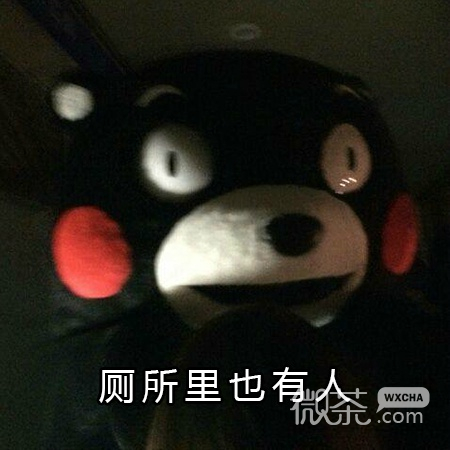 晚上感到孤单怎么办微信熊本熊表情包下载