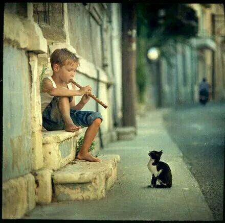 伤感人士专用的微信朋友圈配图下载