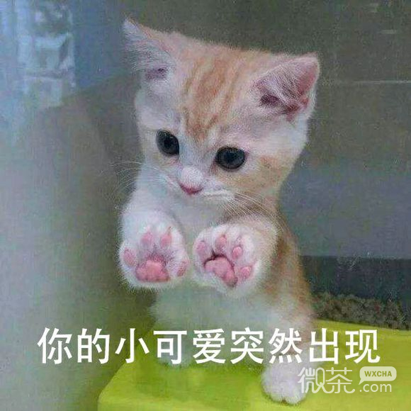 抱拳了微信恶搞群聊杂图表情包
