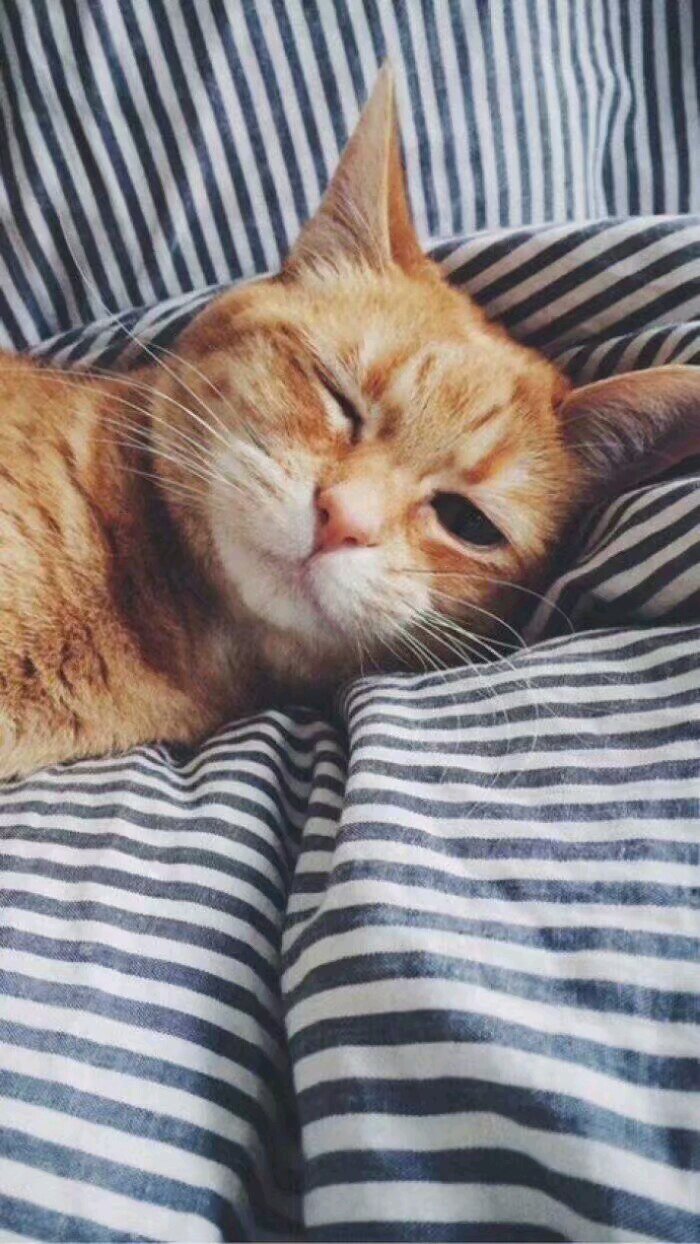 粉色系唯美好看手机壁纸