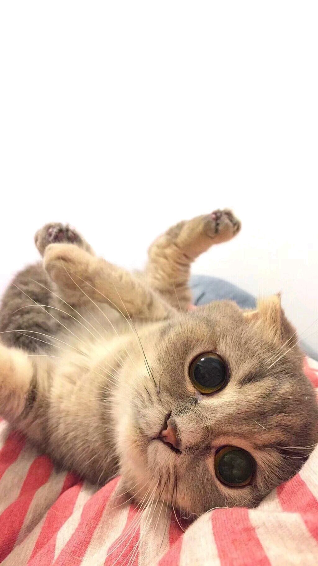 粉色系唯美好看手机壁纸