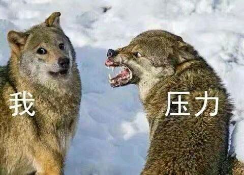 识破恶搞群聊杂图微信表情包