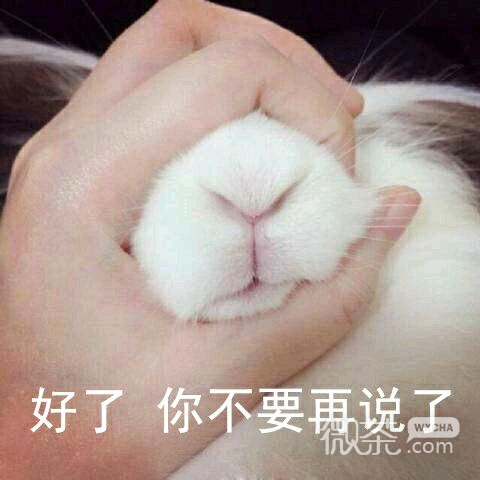 抱拳了微信恶搞群聊杂图表情包