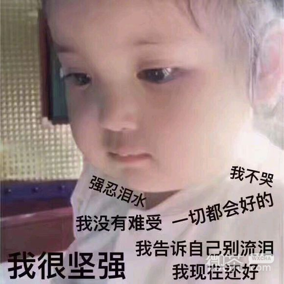所以呢恶搞群聊杂图微信表情包
