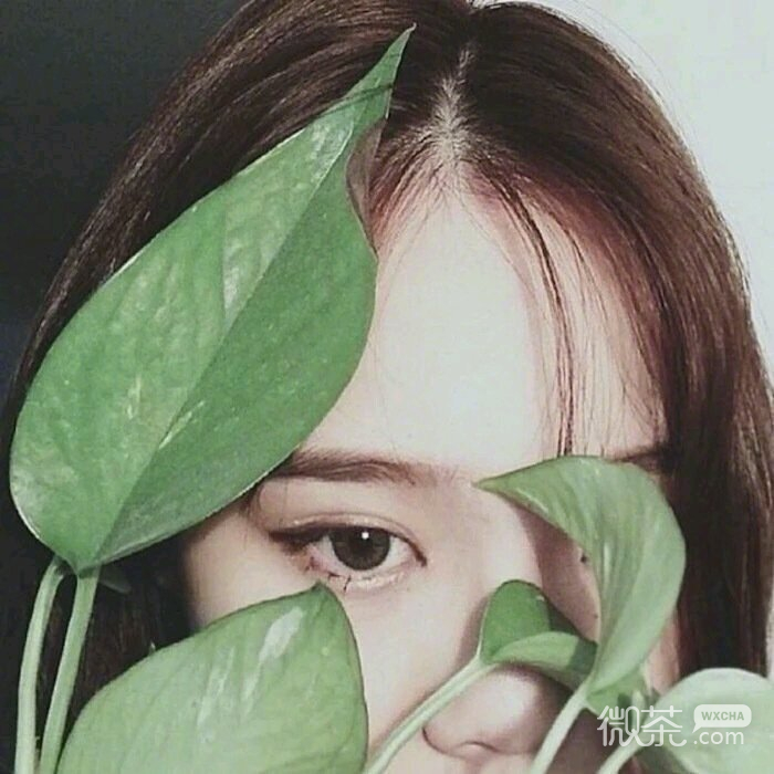微信简洁俏皮时尚女头