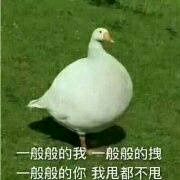 识破恶搞群聊杂图微信表情包