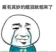 所以呢恶搞群聊杂图微信表情包
