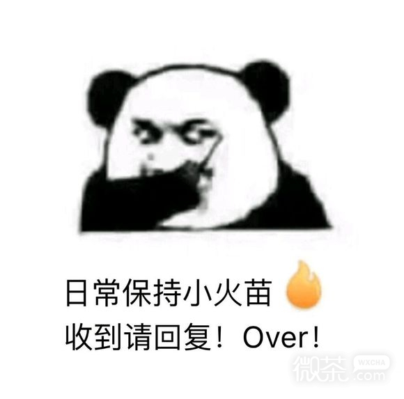 怎么肥四微信恶搞群聊杂图表情包
