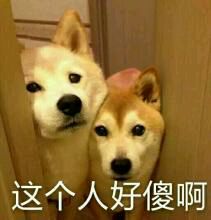 抱拳了微信恶搞群聊杂图表情包