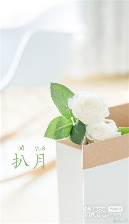 微信八月你好唯美小清新壁纸图片下载