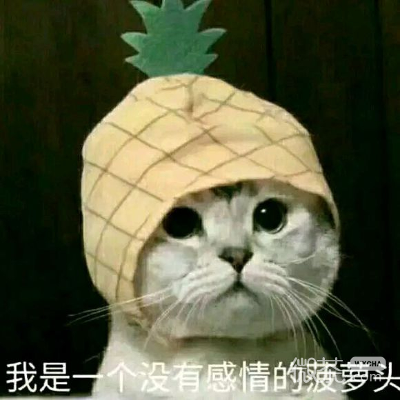 投降微信恶搞群聊杂图表情包