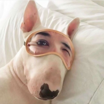 搞笑沙雕风格的微信个性头像合集下载