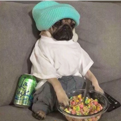 搞笑沙雕风格的微信个性头像合集下载