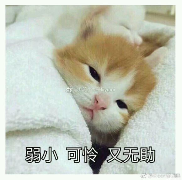 微信丧搞怪仛表情包