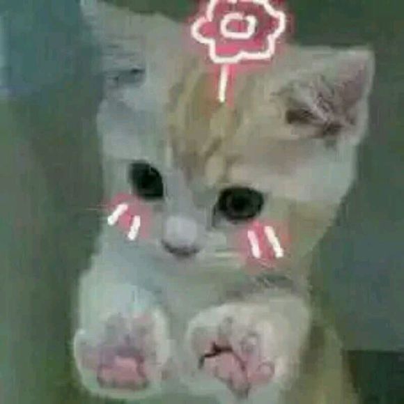 刺激恶搞群聊杂图微信表情包