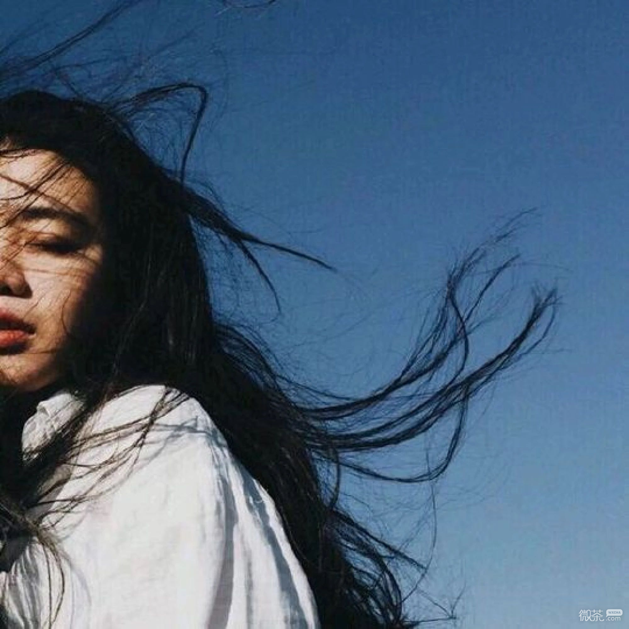 微信好看女生背影头像