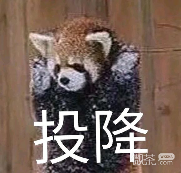 投降微信恶搞群聊杂图表情包