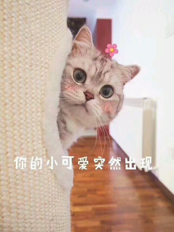 微信丧搞怪仛表情包