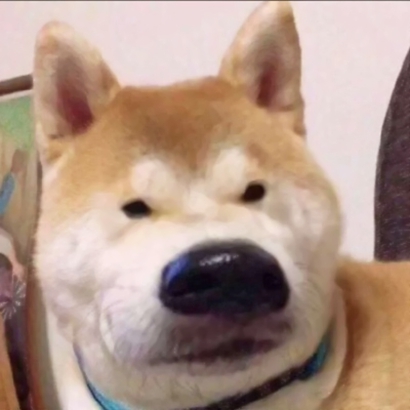 搞笑沙雕风格的微信个性头像合集下载