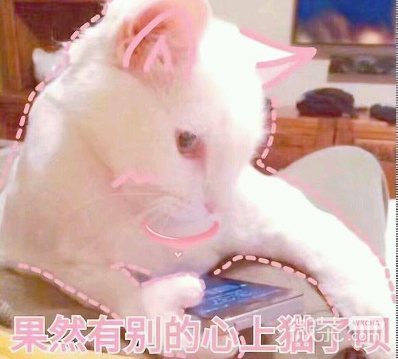 委屈巴巴恶搞群聊杂图微信表情包