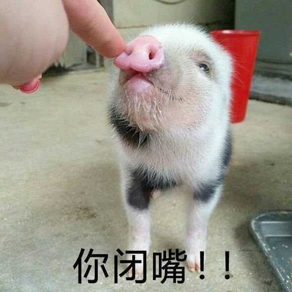 微信丧搞怪仛表情包