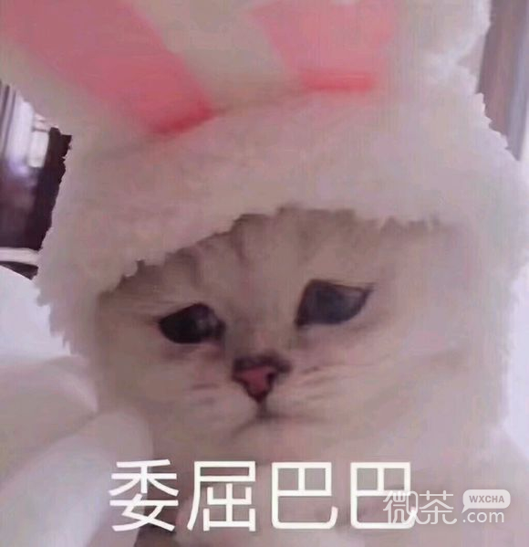 委屈巴巴恶搞群聊杂图微信表情包