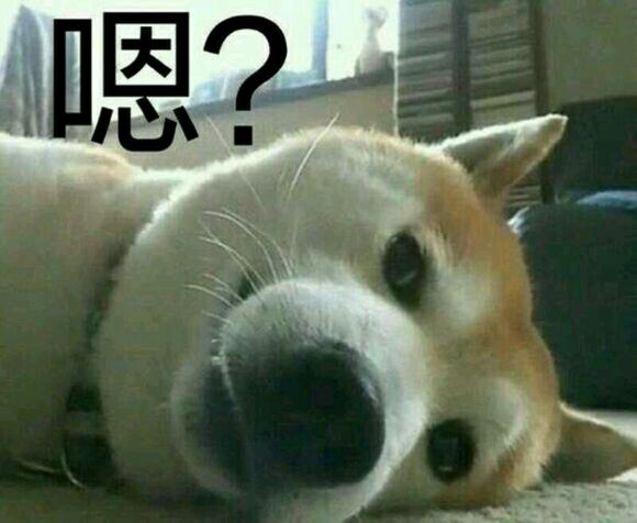 刺激恶搞群聊杂图微信表情包