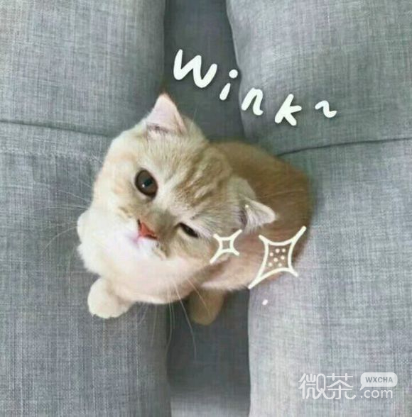 委屈巴巴恶搞群聊杂图微信表情包