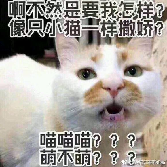 微信丧搞怪仛表情包