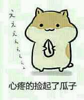 懵逼微信恶搞群聊杂图表情包