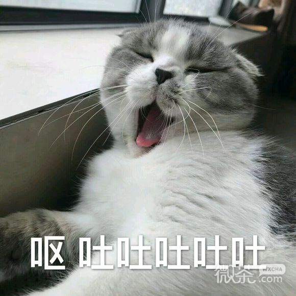宠溺微信恶搞群聊杂图表情包