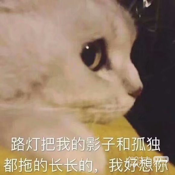 微信恶搞害怕群聊杂图表情包
